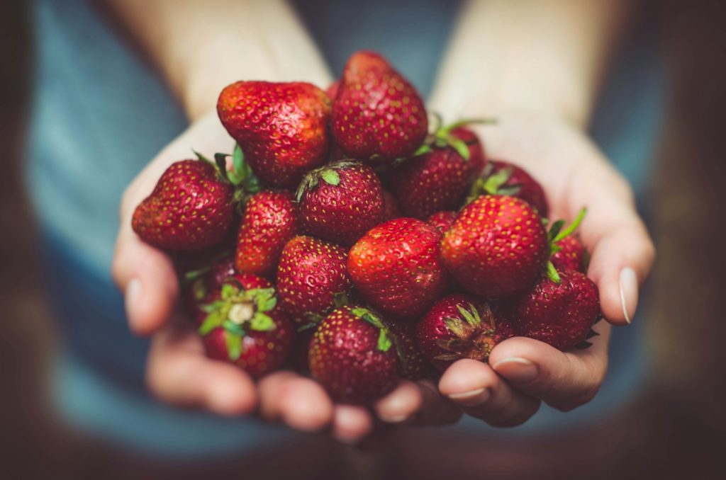 Hands holding fresh strawberries